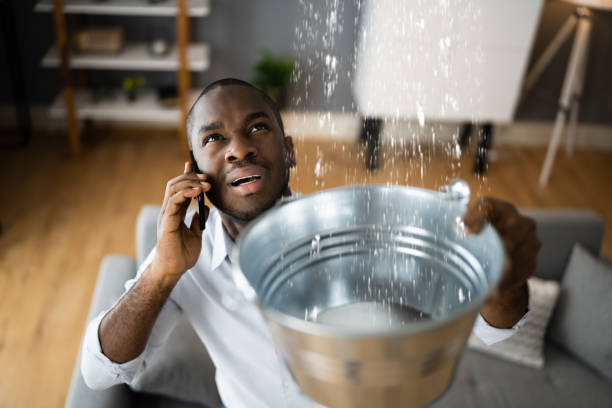 Best 24/7 water damage repair  in Safety Harbor, FL