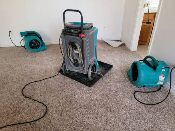 Best Ceiling water damage repair  in Safety Harbor, FL
