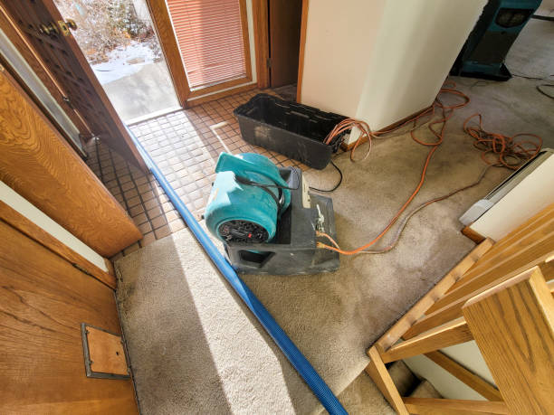 Best Flood damage cleanup  in Safety Harbor, FL