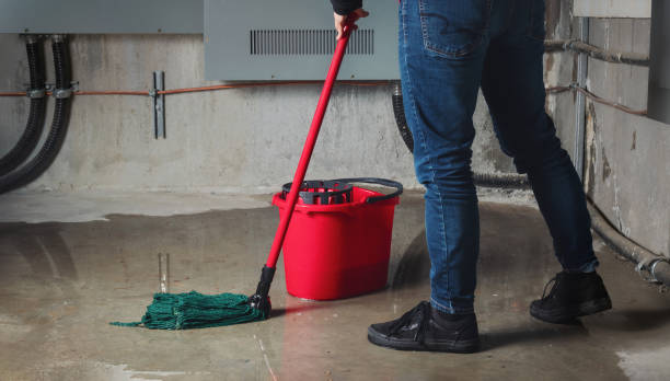 Best Water damage contractors near me  in Safety Harbor, FL