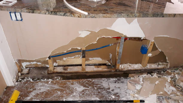 Best Flood damage cleanup  in Safety Harbor, FL