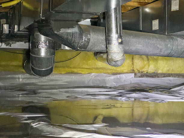 Best Professional water damage repair  in Safety Harbor, FL