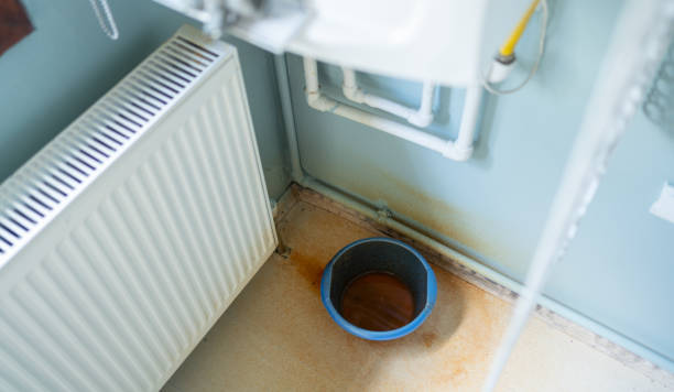  Safety Harbor, FL Water damage restoration Pros