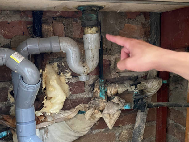 Best Basement water damage restoration  in Safety Harbor, FL