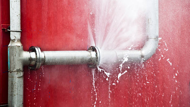 Best Local water damage restoration  in Safety Harbor, FL